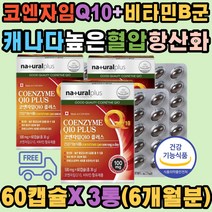 코엔자임 큐텐 비타민 혈압감소 항산화 도움 성인남자 식약처 Vitamin A B1 B2 B6 C E 유해산소 제거 활성산소 세포기능 보호 운동선수 직장인 청소년 에너지대사 중년 장년 성인 남자 여자 40대 50대 60대 부모님