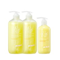 로더렛 컬러핏 더일랑가든 샴푸1000ml 2개+트리트먼트500ml 1개, 단품