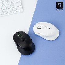 로이체 S 무소음 무선 옵티컬 마우스 RX560 DUAL 게이밍/무소음/멀티페어링/무선, 2.화이트