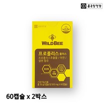 종근당건강 와일드 비 프로폴리스 아연 셀렌 플라보노이드 항산화 건조효모 발효흑마늘 프로폴리스추출물 호주산, 2박스