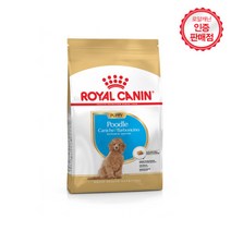 로얄캐닌 견종별 강아지 사료-사은품증정 (1.5kg 3kg 선택), 1.5kg, 독 푸들 퍼피