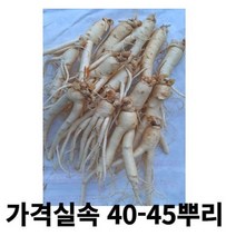 인삼 못난이 인삼 실속가정용 40-45뿌리 파지 못난이 삼계탕 인삼 홍삼 못난이 인삼 홍삼용, 700g 40-50뿌리세척 (0) +못난이대추(30g), 1개