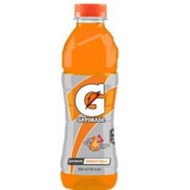 롯데칠성 게토레이 오렌지 600ml, 36개