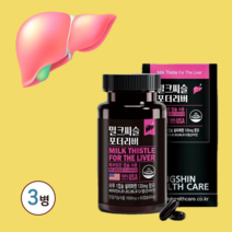 밀크씨슬 밀크 씨슬 간 영양제 밀크시슬 간에 좋은 영양제 추천 성분 효과 실리마린 비타민 엽산 아연 식약처 식약청 인정 인증 간영양제 간건강 영양제 간영양제밀크시슬 간장약, 3병