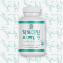 필리안즈 락토페린 식약처 HACCP 인증 3000mg, 1통, 60정