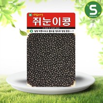 솔림텃밭몰 쥐눈이콩씨앗 30g 쥐눈이콩 약콩 콩씨앗 서목태, 단품