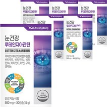 루테인 지아잔틴 복합추출물 비타민 아연 구리 눈건강 광동 30캡슐, 루테인30캡슐x6(6개월)