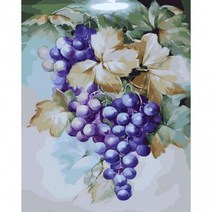 아이윙스 피포페인팅 pipo-2048 재물과풍수 포도 40x50 DIY명화그리기 유화수채화그리기, 상세페이지 참조