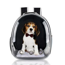 투명우주선가방 강아지가방 고양이가방 체리스, 블랙