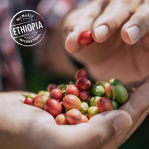 [맥널티 생두] 에티오피아 예가체프 아리차 G1 (Natural), 1kg, 1개