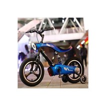 Selfree-3-6 세 어린이 자전거 음악 빛 탄소강 자전거 12/14/16 인치, Blue (16 inch)