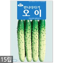 서리태 씨앗 30g - 콩 씨 청약콩 검은콩 쥐눈이콩 서리태씨앗 콩 검정콩씨앗 검은콩씨앗 콩씨앗 서리태씨 검은콩씨 주말농장 텃밭, 04_만나다다기오이(15립)