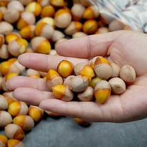 깐은행 1kg(대)x2, 단품