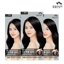 꽃을든남자 염색약 CS 먹물 헤어칼라 N1 흑색x3개 새치커버용, 3개, N1 흑색