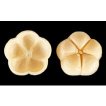 모나카 껍질 모나카깍지 카페 레스토랑 호텔 교육 매화모양 60장(30쌍), 단일 옵션개