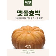 맷돌 호박씨앗 25립 - 늙은호박
