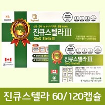 캐나다 진큐센텔라 2 혈액순환 혈행 기억력 개선제 영양제, 120정