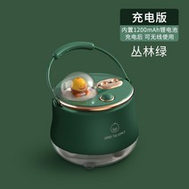 가습기추천 자연기화식 사무실가습기 자연식 가열 스마트 방건조할때 가정용 조용한 가열식가습기 가습기 61, 충전삽입 양용 정글그린 면봉 2개 많은 양의 안개