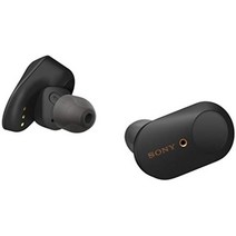 소니 WF-1000 XM3 노이즈캔슬링 블루투스 이어폰, 블랙, 블루투스 USB 어댑터 세트
