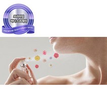 바디스프레이 베이스1L