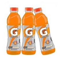 게토레이병 이온음료수 게토레이 오렌지 600ml 12개 2181625