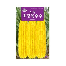 모두다 청농 채소씨 옥수수씨 씨앗 초당옥수수-노랑(100립)