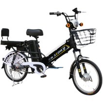 어르신 외출용 20인치 전기 자전거 성인용 전동자전거, 상세이페이지 참고, 10Ah 순수 전기 범위 40km 파란색48V