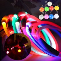 펫츠미 강아지 애견 LED 야광 라이트 목걸이 팬던트, LED야광목걸이, 레드