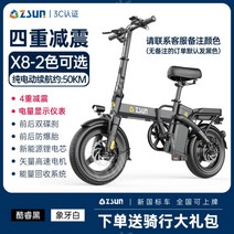 독일 ZSUN 배달용 전기자전거 출퇴근 배달대행 접이식 자전거 전기 바이크, 48v, X8-3C--10AH 약50km