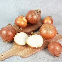 더조은푸드 [더조은] 전남 무안 양파 중 10kg, 단품없음