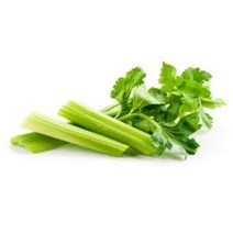 맛좋고 싱싱한 셀러리 샐러리 3kg 5kg