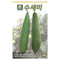 수세미씨앗 10립 수세미씨 채소씨앗 종자 다농 식물나라스토어