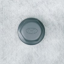 (뉴파워트럭) 9.5톤 2 3축 휠너트 캡 - 30mm / 529876A200