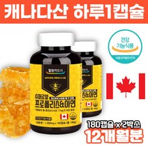 캐나다 프로폴리스 아연 6개월분 면역력 높이는영양제 입냄새 제거 항산화 유해산소억제 음식 알약 유아용 프리미엄 유아청소년 성인용 propolis 폴리포리스 폴리폴리스 영양제, 2박스