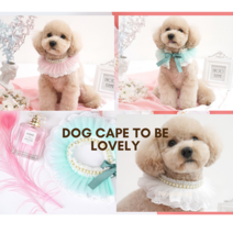 강아지 케이프 진주 러블리 레이스 강아지 반려동물 고양이 엘레강스 목걸이 넥 스카프 강아지레이스케이프 강아지진주케이프 강아지스카프 고양이케이프 강아지턱받이 애견케이프 반려견케이프, one size, 화이트