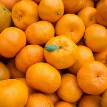제주 비가림 수로미 왕귤 못난이 고당도 하우스 감귤 귤 5kg 10kg, 불로초 감귤 소과(2s-m) 4.5kg, 1개
