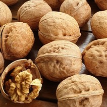 호두 국산호두 알호두 피호두 통호두 껍질얇은 신품종호두 500g 1kg 2kg, 알뜰형 꼬마호두1kg
