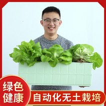 가정용 식물재배기 수경재배기 식물 재배기 화분수배채소설비재배함무토재배채소수경농채기 가정양, 3콤비 세트(풀세트 포함), 중간 정도