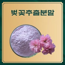 벚꽃추출분말 50g 샘플, 본상품선택, 본상품선택
