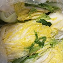 해남 직거래 농민 장터 절임배추 절인 김장 농협 20kg, 월요일 출발->화요일도착” class=”wr-img”></a></div></div></div></div><div class=