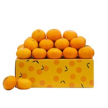 제주감귤, 10kg(랜덤과), 1박스