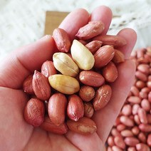 [산지직송] 좋은물과 흙이 만들어낸 땅콩! 23년 여주 햇 생 땅콩 500g, 1개