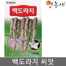 백도라지씨앗 2000립, 백도라지(2천립)