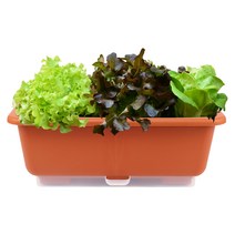 화분월드 이동식 인테리어 베이직 대형 자동급수 텃밭상자 화분 + 받침 분갈이 흙 세트, 다크오렌지