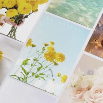 감성 컬러 엽서 모음 선샤인 드림