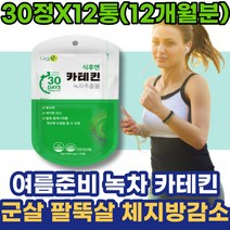 여름 식욕억제 녹차카테킨 중년 카테킨 부모님 퇴직선물 100일 엄마 케톤 단기간 남성 체지방컷팅제 시아버지생신선물 다이어트운동 내장지방감소 뱃살빼는법 다리살 출산후운동 옆구리살