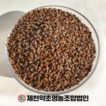 국산 결명자 500g 제천약초영농조합 제천약초시장, 1, 500
