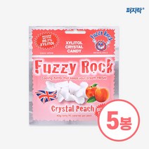 퍼지락 자일리톨 무설탕 캔디 복숭아맛 40g 5개 세트구성, 단품