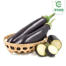 온도씨 가락시장 가지 1개