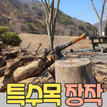 편백나무 특수목 장작5kg 캠핑용 불멍 바베큐용 향이 좋은 고기 맛이 끝내주는, 편백나무10kg
